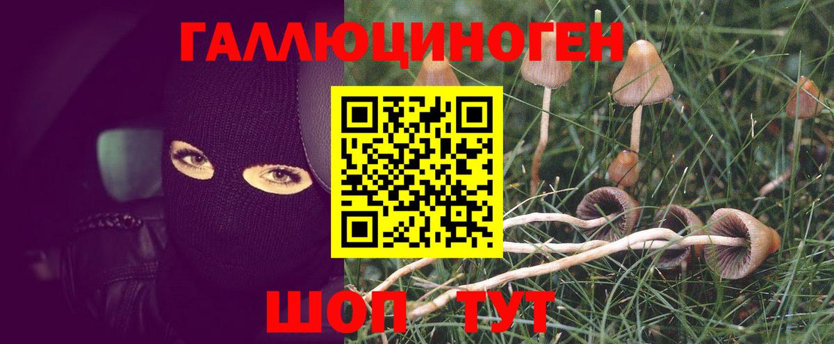 Галлюциногенные грибы MAGIC MUSHROOMS Карпинск