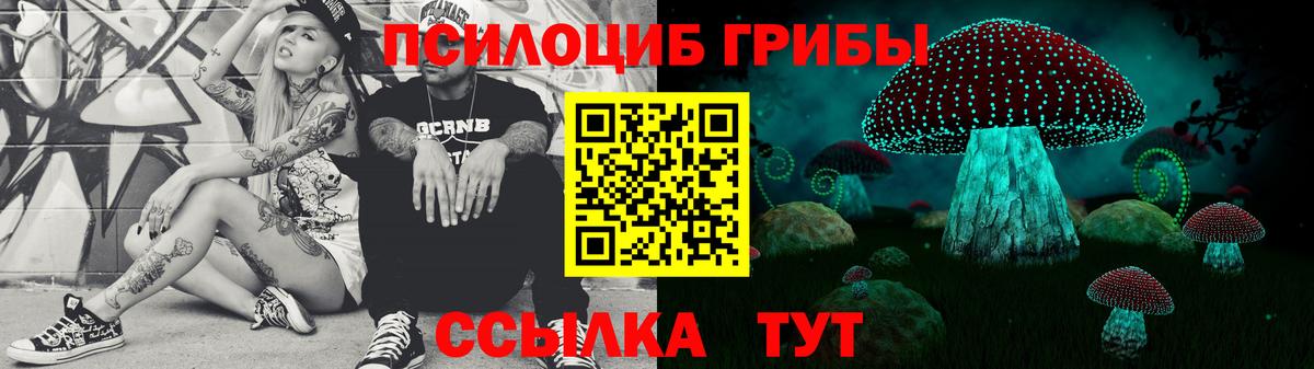 Галлюциногенные грибы GOLDEN TEACHER  Вход с VPN  Карпинск 